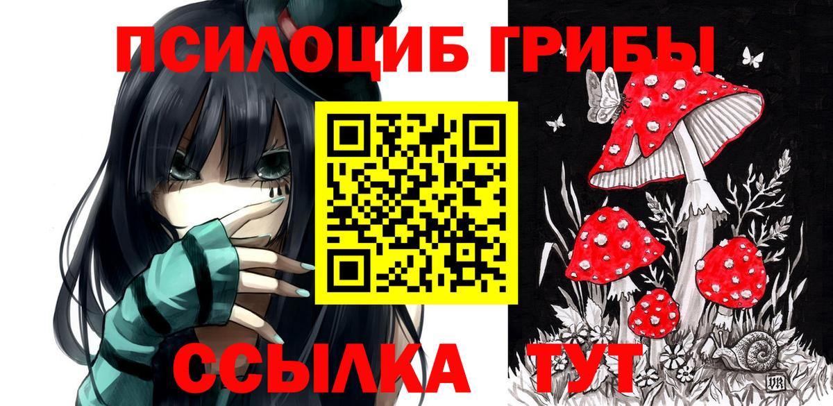 Боровичи  Галлюциногенные грибы ЛСД  Вход с VPN 
