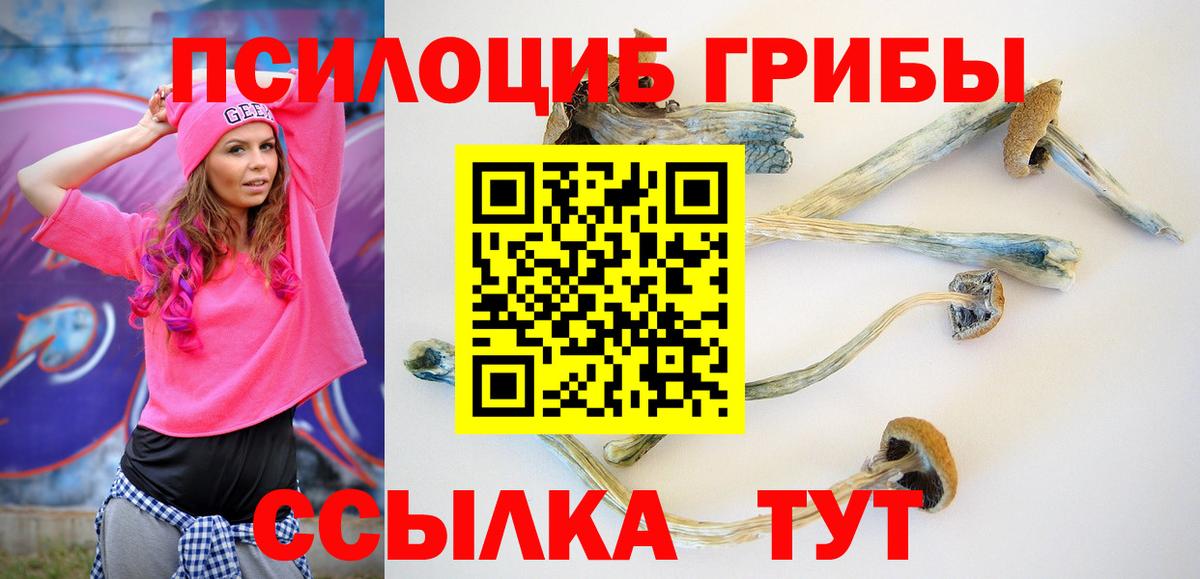 Псилоцибиновые грибы мухоморы Боровичи